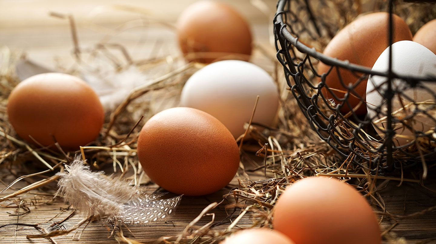 Sind Eier gesund? Ein Korb voll Eier: Sind Eier gesund oder nicht?
